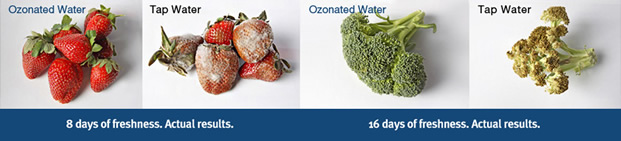 Ozonated water for food, fruit and vegetables